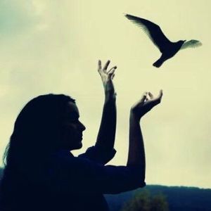 Meet your Posher, Evangelina